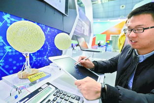 中關(guān)村前沿科技展 觸摸未來(lái)，北京信息技術(shù)服務(wù)新篇章